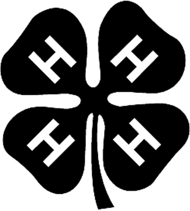 4-H CLUB Graphic Logo Decal