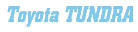 Rendering -Toyota TUNDRA - using Boroughs