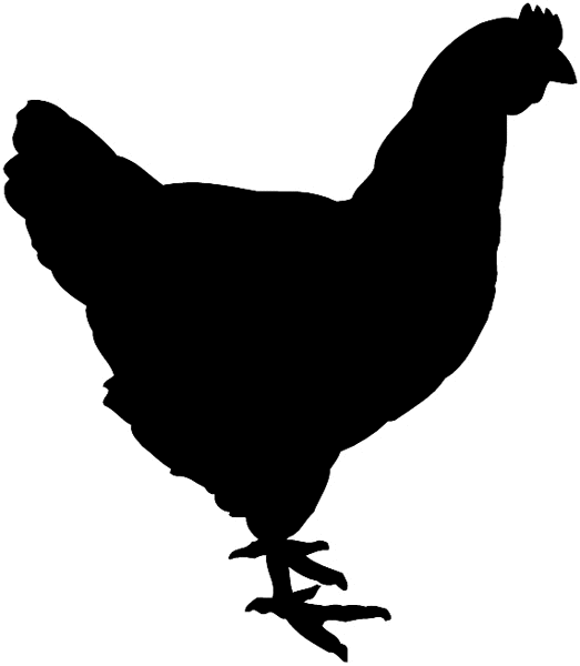 chicken silhouette clip art - photo #14