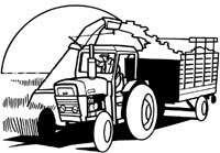 Agriculture