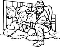 Agriculture