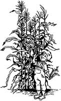 Agriculture