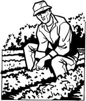 Agriculture