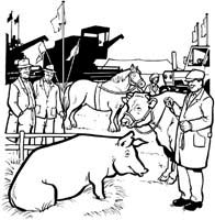 Agriculture