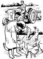 Agriculture