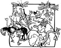 Animals