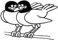 Animals