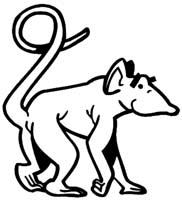 Animals