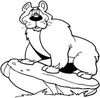 Animals