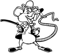 Crazy