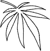 Drug