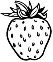 Fruit