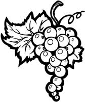 Fruit