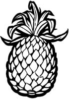 Fruit