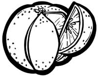 Fruit