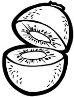 Fruit
