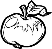Fruit