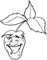 Fruit