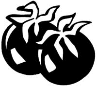 Fruit