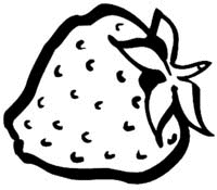 Fruit