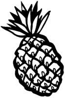Fruit