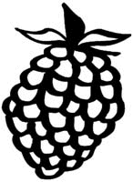 Fruit