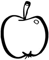 Fruit