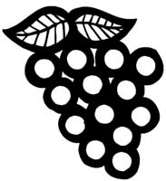 Fruit