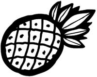 Fruit