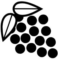 Fruit