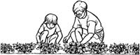 Gardening