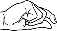 Hands