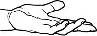 Hands