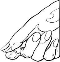 Hands