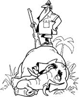 Hunting