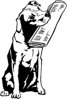 Newspapers