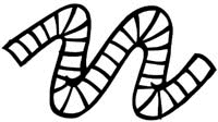Numbers