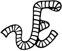 Numbers