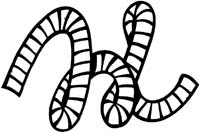 Numbers