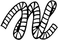 Numbers
