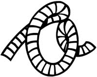 Numbers