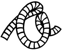 Numbers