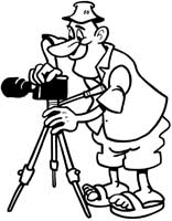 Photos
