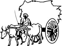 Transport