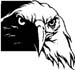eagle graphic