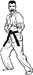 karate decal