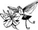 humming bird graphic sticker
