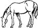 horse decal
