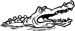 gator artwork graphic