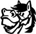 horse head decal